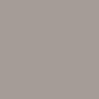 4. WARM GRAY 6c; RGB: 165.156.148; HEX: A59C94; CMYK: 14.19.21.39
